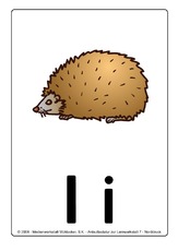 i-igel.pdf